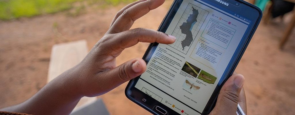 crop health advisor using a PRISE bulletin on their mobile tablet to access pest alert and advisory information
