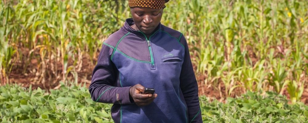 farmer in Malawi using their phone to access crop health information