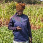 farmer in Malawi using their phone to access crop health information