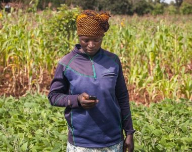 farmer in Malawi using their phone to access crop health information