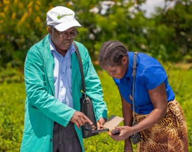 crop health advisor and farmer discussing crop pest management using a mobile tablet