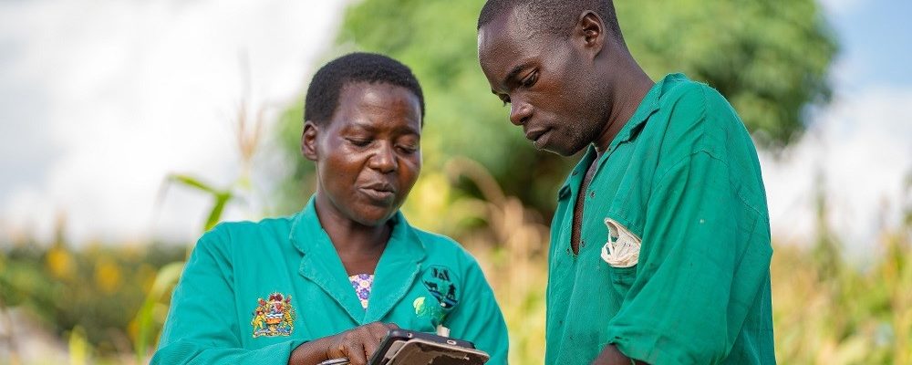 crop health advisors using a tablet device to access advisory information