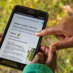 crop health advisor looking at a PRISE bulletin detailing pest forecasts on maize crops